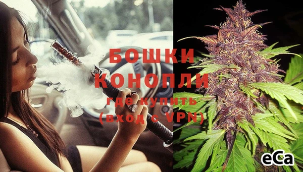 гидра Карталы
