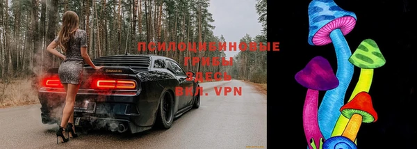 синтетический гашиш Карпинск
